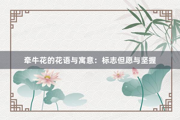 牵牛花的花语与寓意：标志但愿与坚握